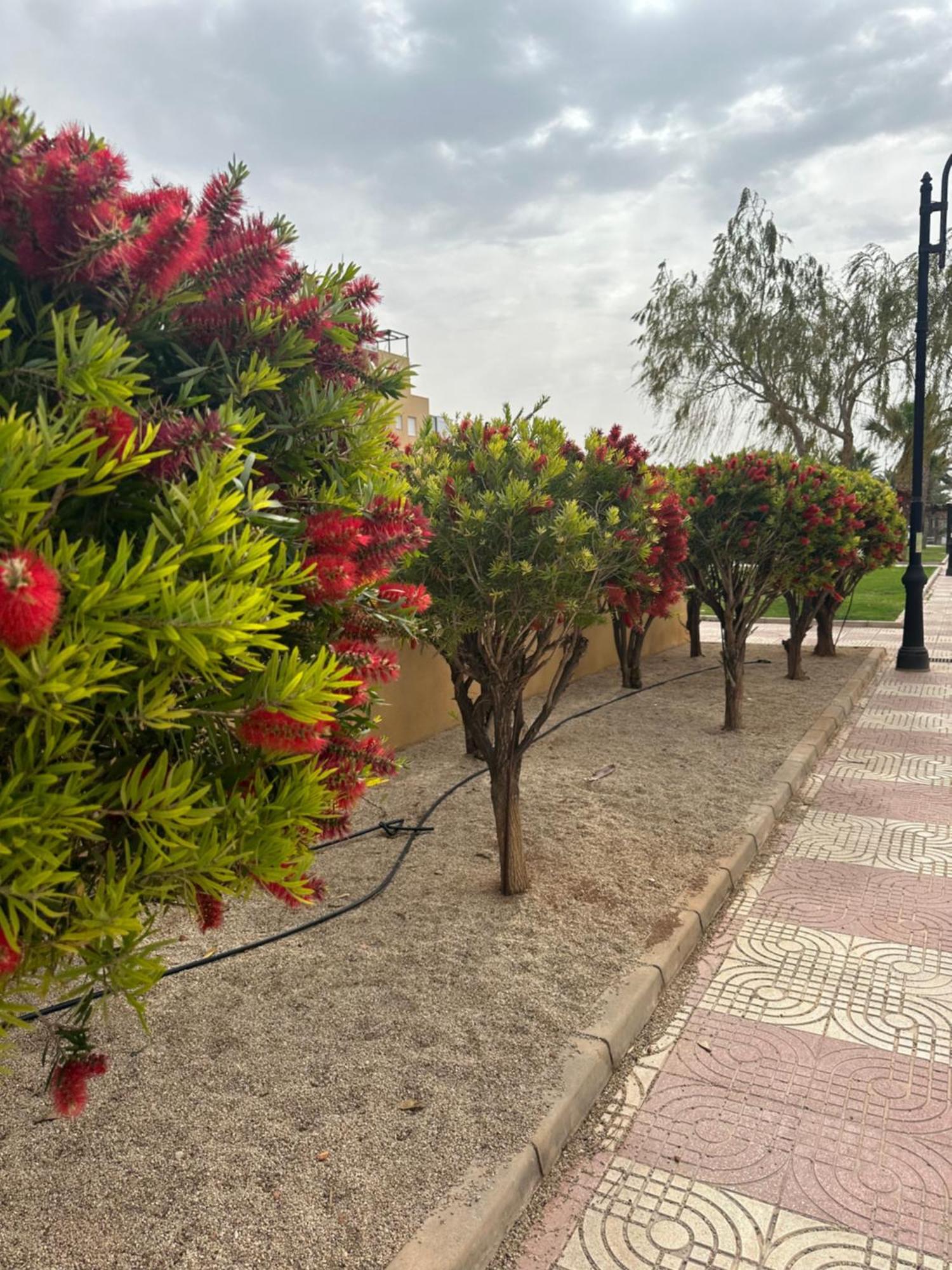 شقة Aguadulce Sol Y Playa- A/C روكيتاس ذي مار المظهر الخارجي الصورة